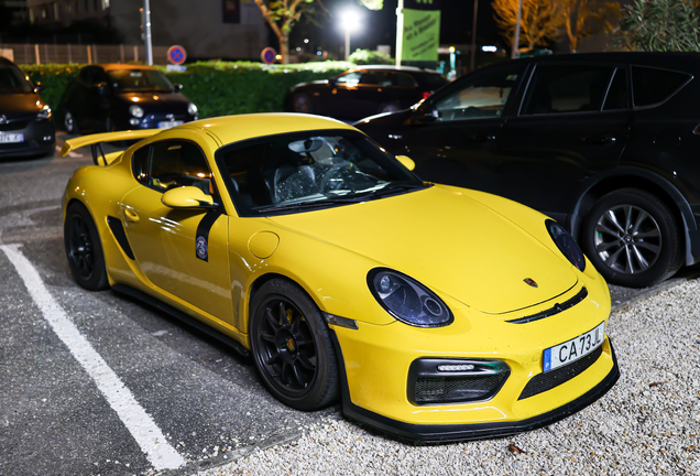 Porsche TechArt Cayman GTS