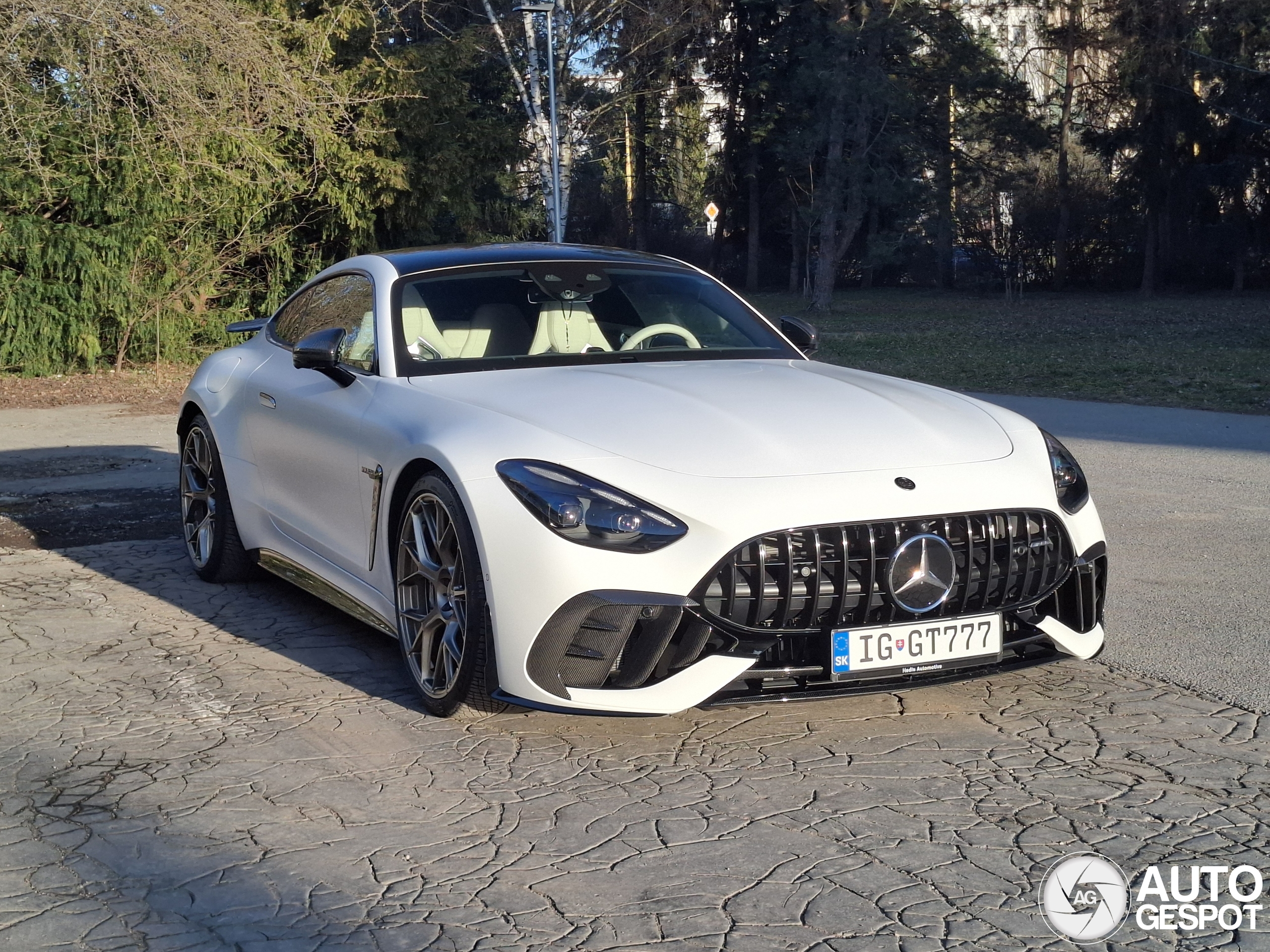 Mercedes-AMG GT 63 Pro C192