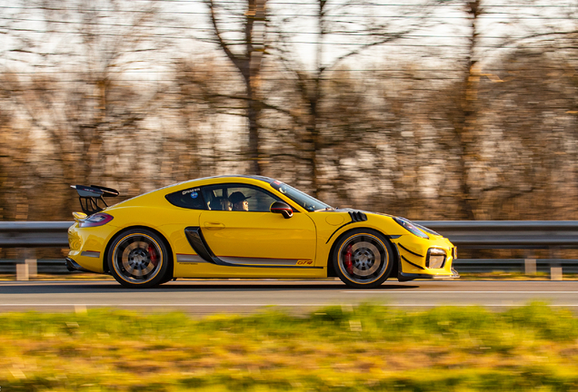 Porsche 981 Cayman GT4 Fabspeed