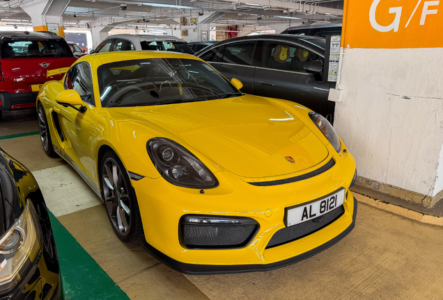 Porsche 981 Cayman GT4