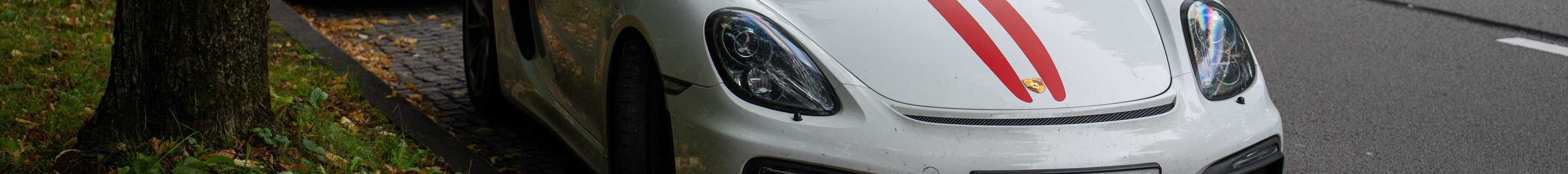 Porsche 981 Boxster Spyder