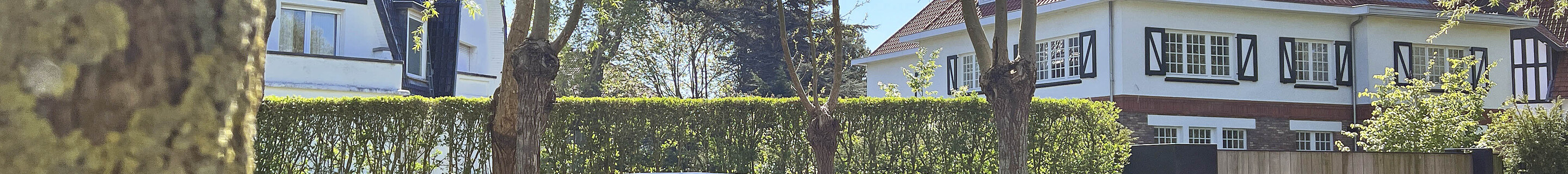 Bentley Continental GTC V8