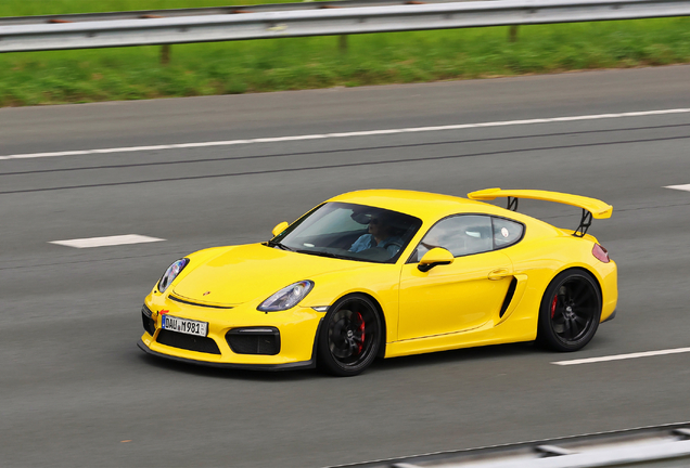Porsche 981 Cayman GT4