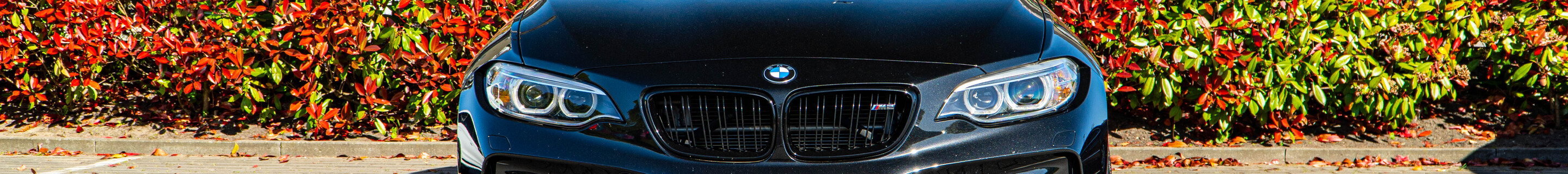 BMW M2 Coupé F87