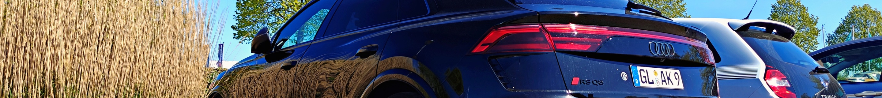 Audi RS Q8 2024