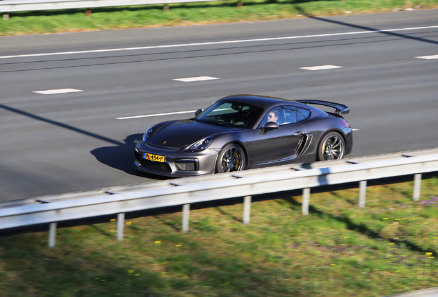 Porsche 981 Cayman GT4
