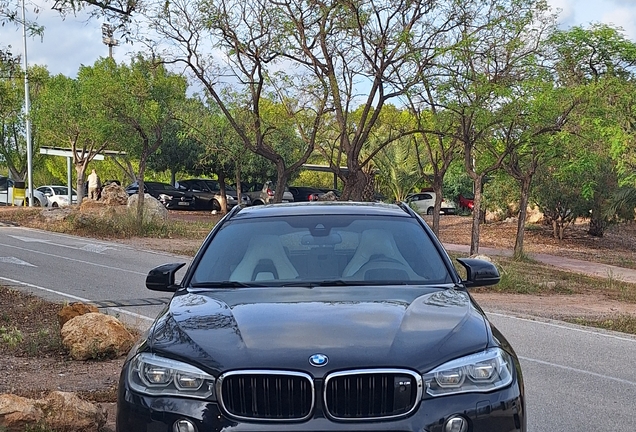 BMW X6 M E71