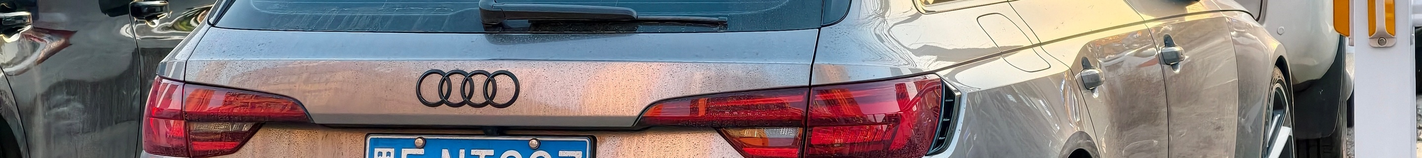Audi RS4 Avant B9