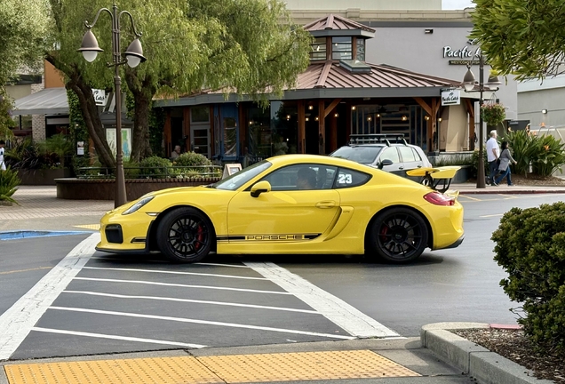 Porsche 981 Cayman GT4