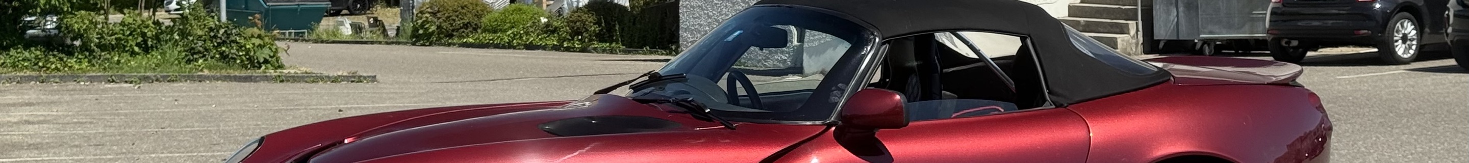 TVR Tamora Red Rose
