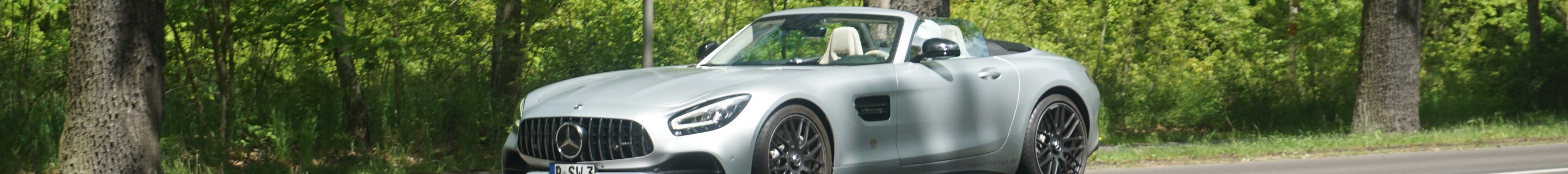Mercedes-AMG GT Roadster R190 2019