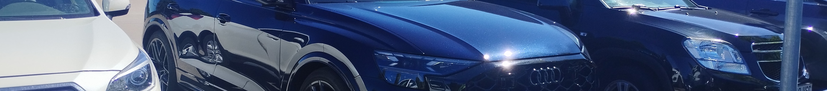 Audi RS Q8 2024