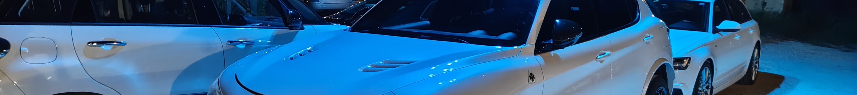 Alfa Romeo Stelvio Quadrifoglio