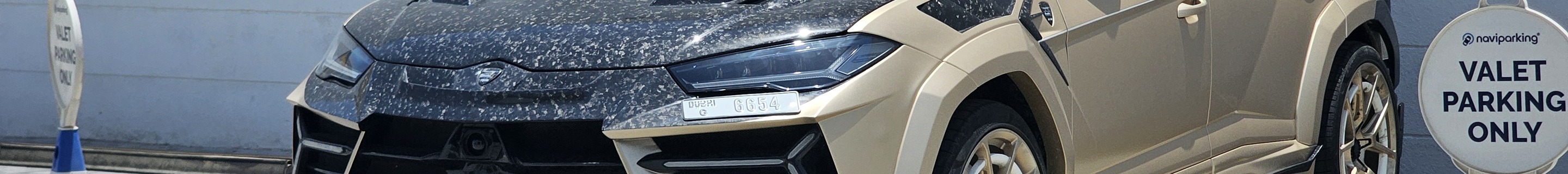 Lamborghini Urus Mansory Venatus S