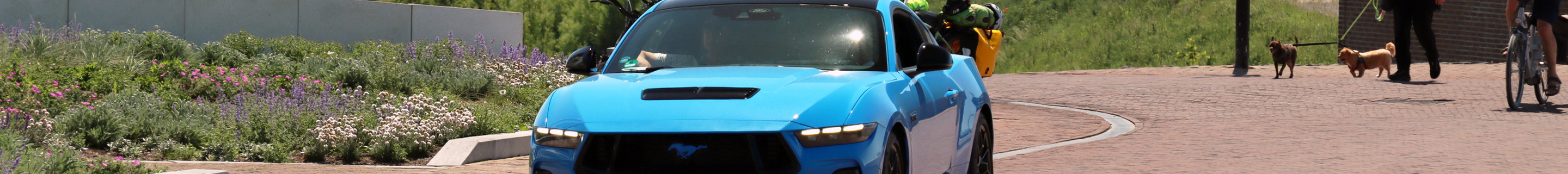 Ford Mustang GT 2024