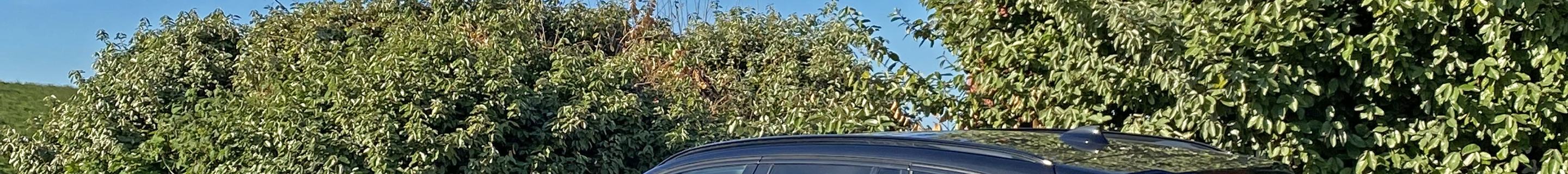 Alpina XD3 Allrad 2019