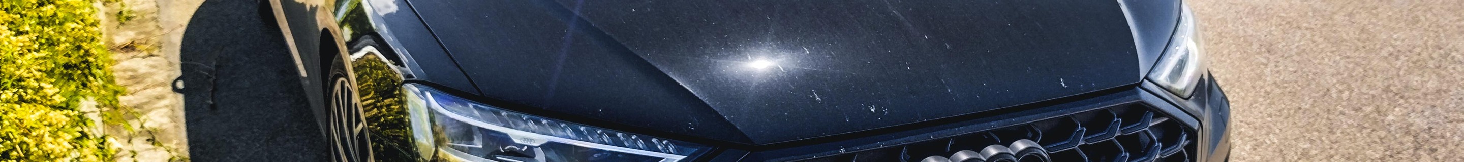 Audi S8 D5 2022