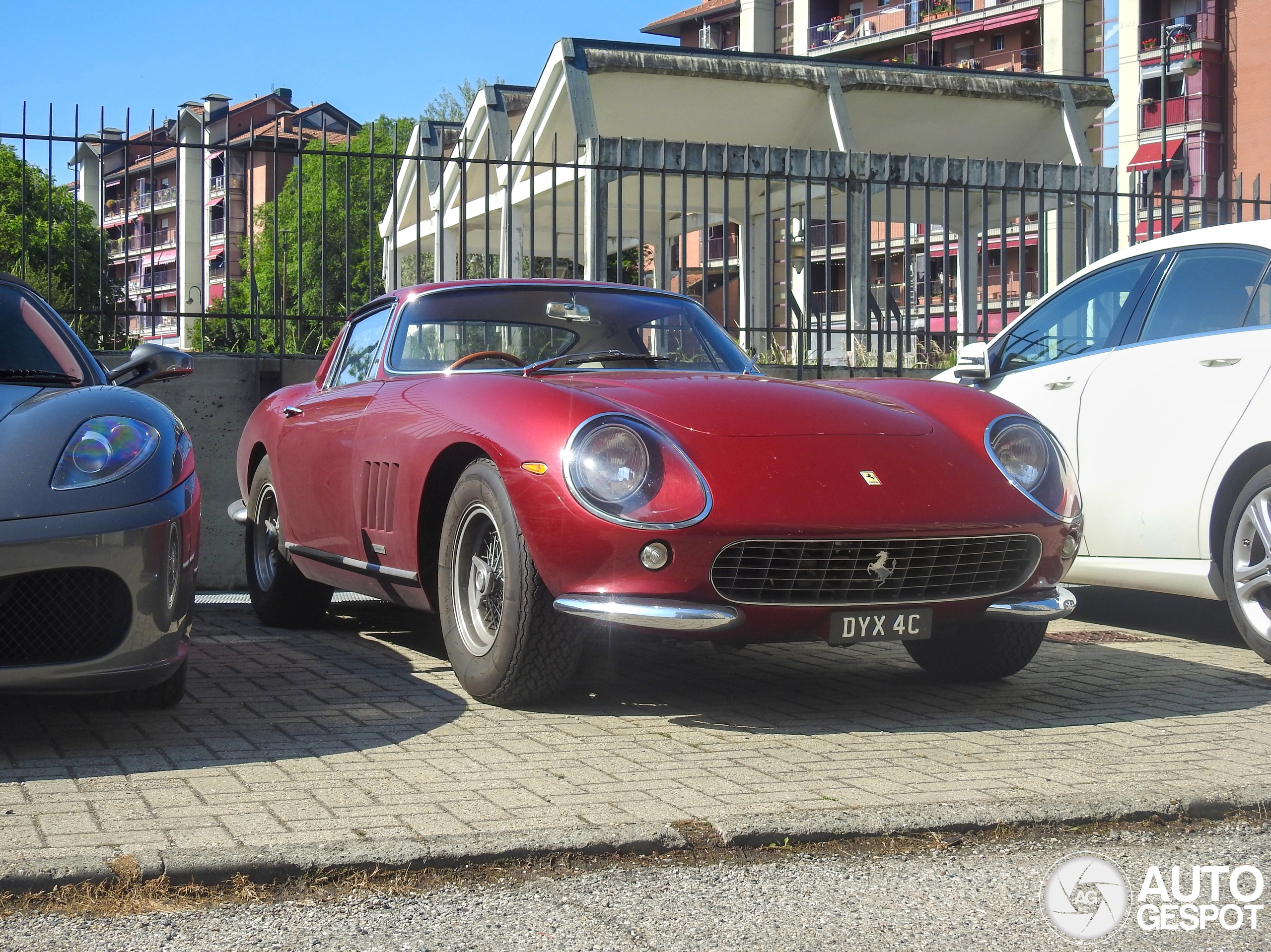 Ferrari 275 GTB Shortnose