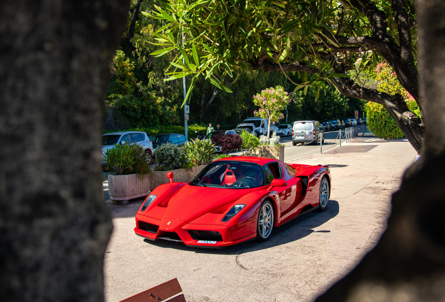 Ferrari Enzo Ferrari