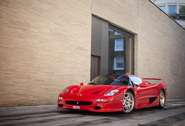 Ferrari F50