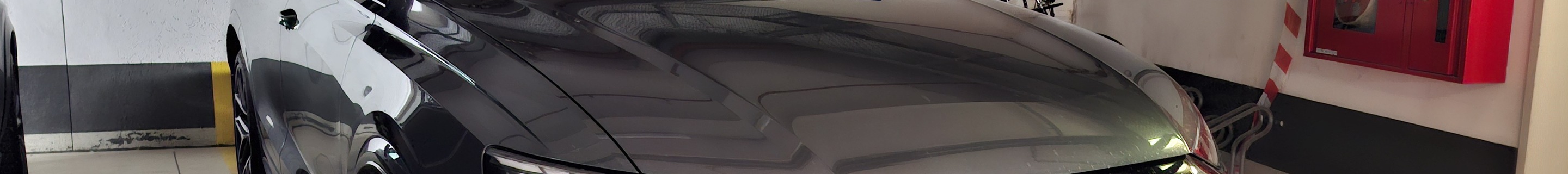 Audi RS Q8 2024