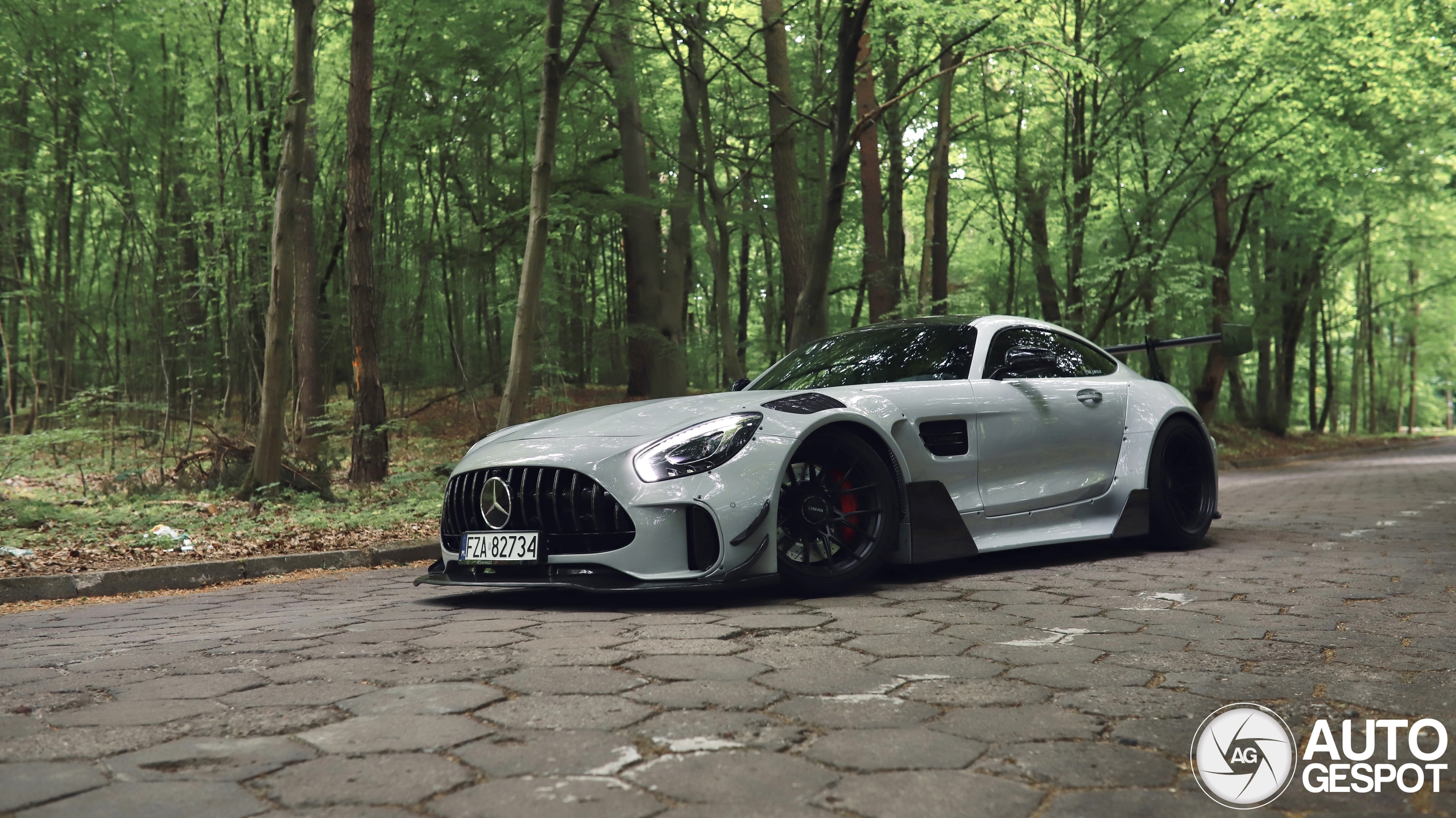Mercedes-AMG GT S C190 2017 Carbonerre Project
