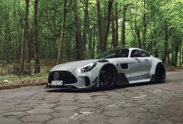 Mercedes-AMG GT S C190 2017 Carbonerre Project