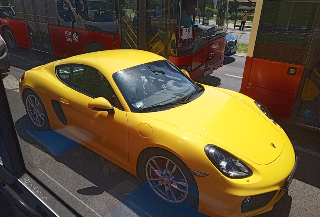 Porsche 981 Cayman S