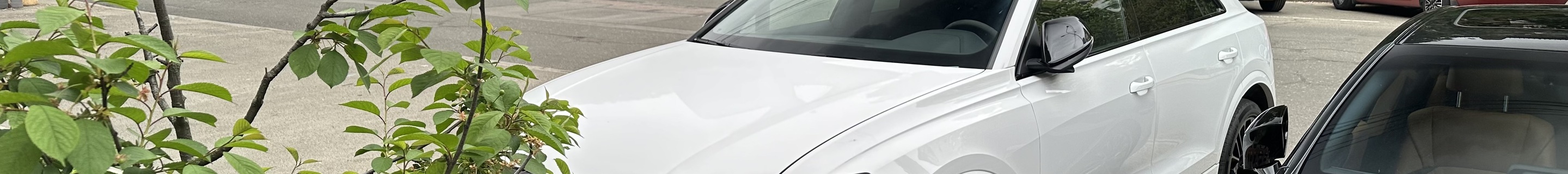 Audi RS Q8 2024