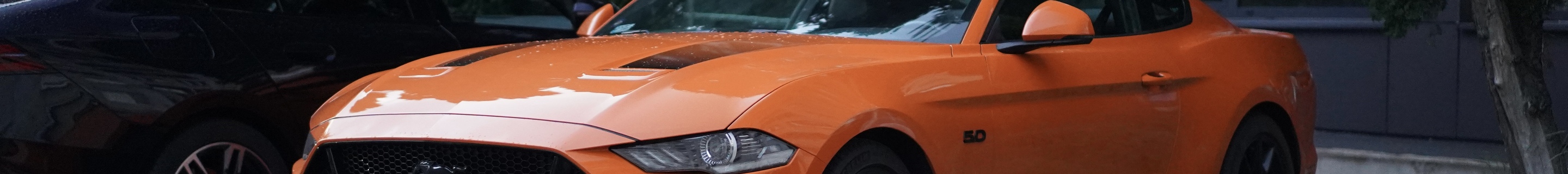 Ford Mustang55 2020