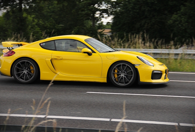 Porsche 981 Cayman GT4