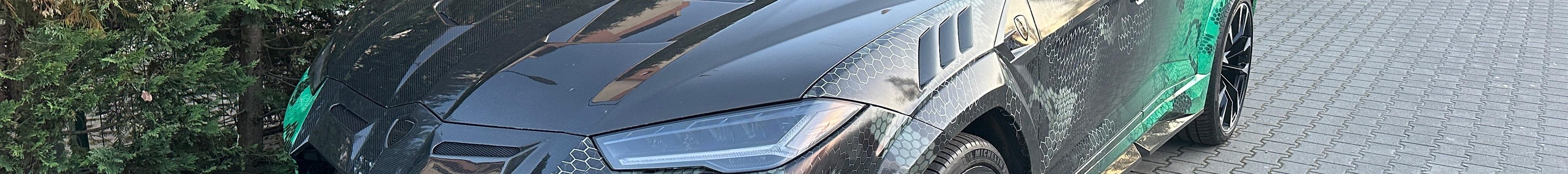 Lamborghini Urus Mansory Venatus