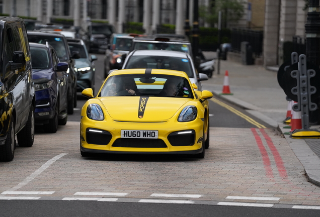 Porsche 981 Cayman GT4