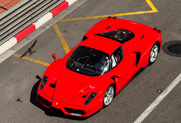 Ferrari Enzo Ferrari