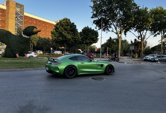 Mercedes-AMG GT R C190