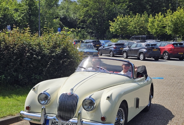 Jaguar Xk150