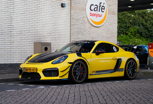 Porsche 981 Cayman GT4 Fabspeed