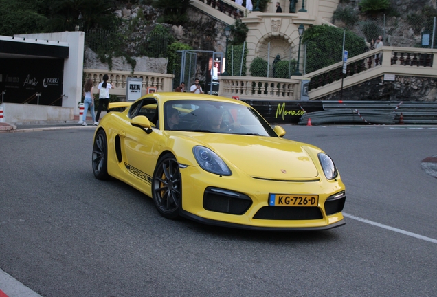 Porsche 981 Cayman GT4