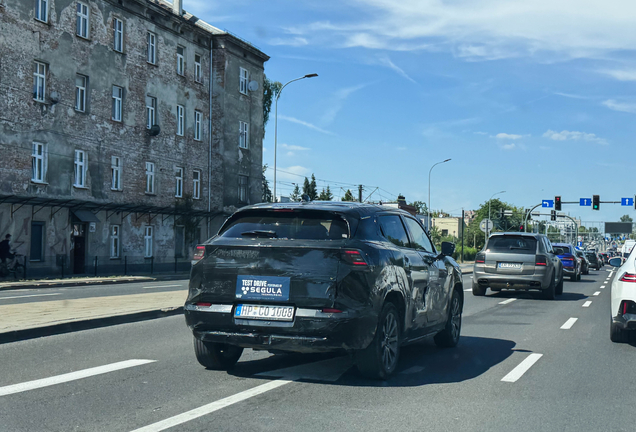 Suzuki E-Vitara