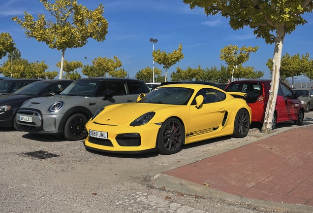Porsche 981 Cayman GT4
