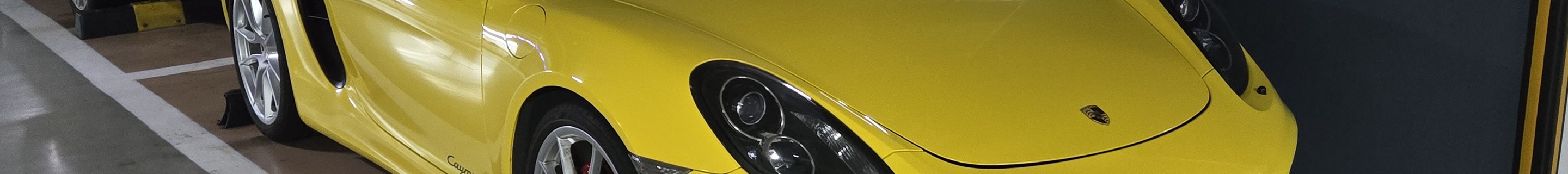 Porsche 981 Cayman S