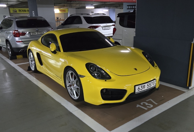 Porsche 981 Cayman S