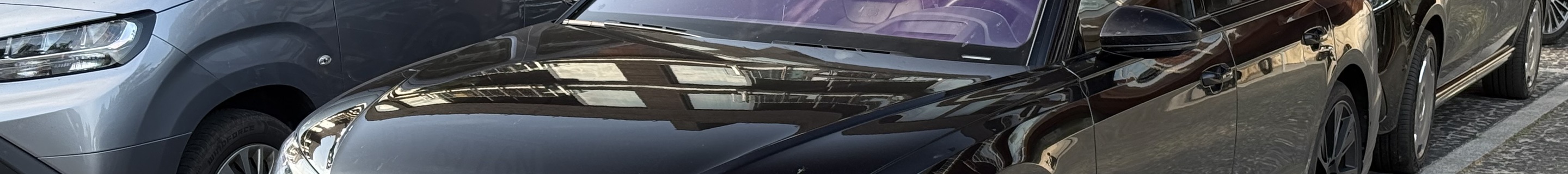 Audi S8 D5 2022