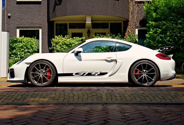 Porsche 981 Cayman GT4