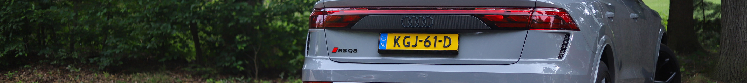 Audi RS Q8 2024