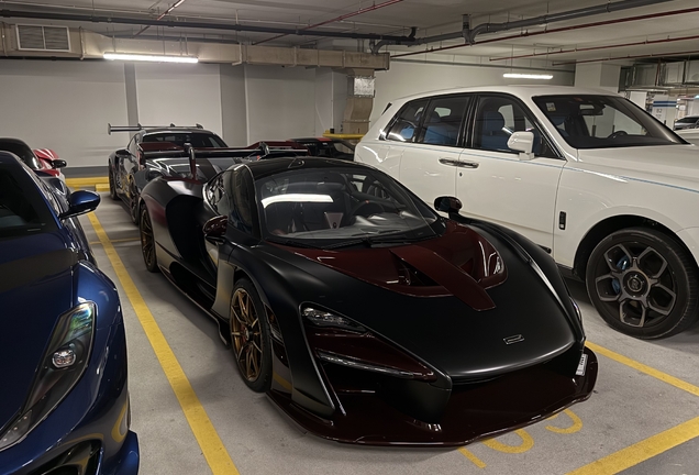 McLaren Senna