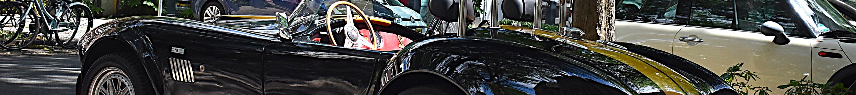 AC Cobra 289