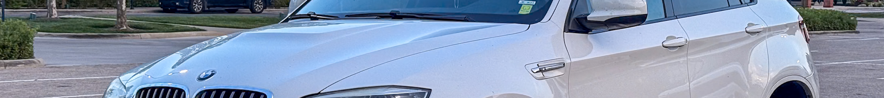 BMW X6 M E71