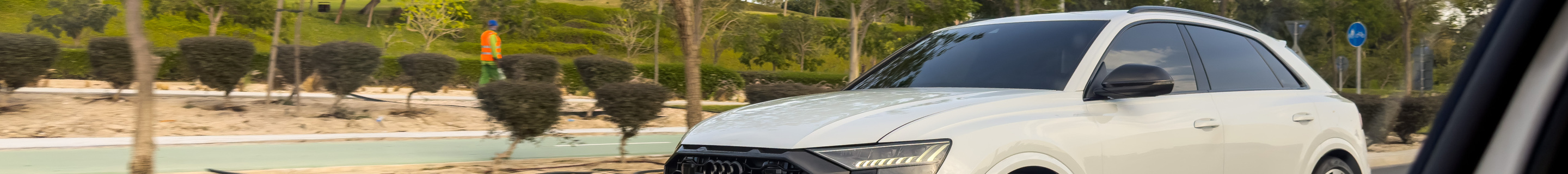 Audi RS Q8