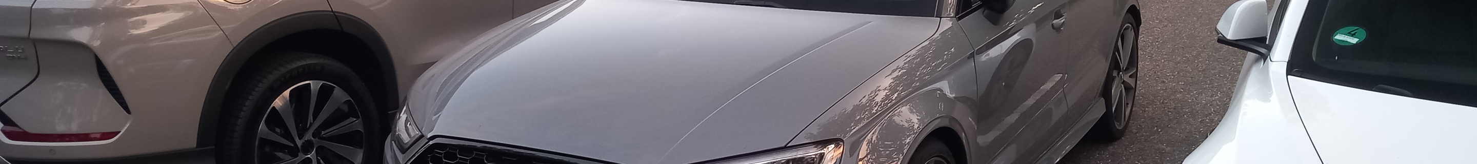 Audi RS3 Sedan 8V